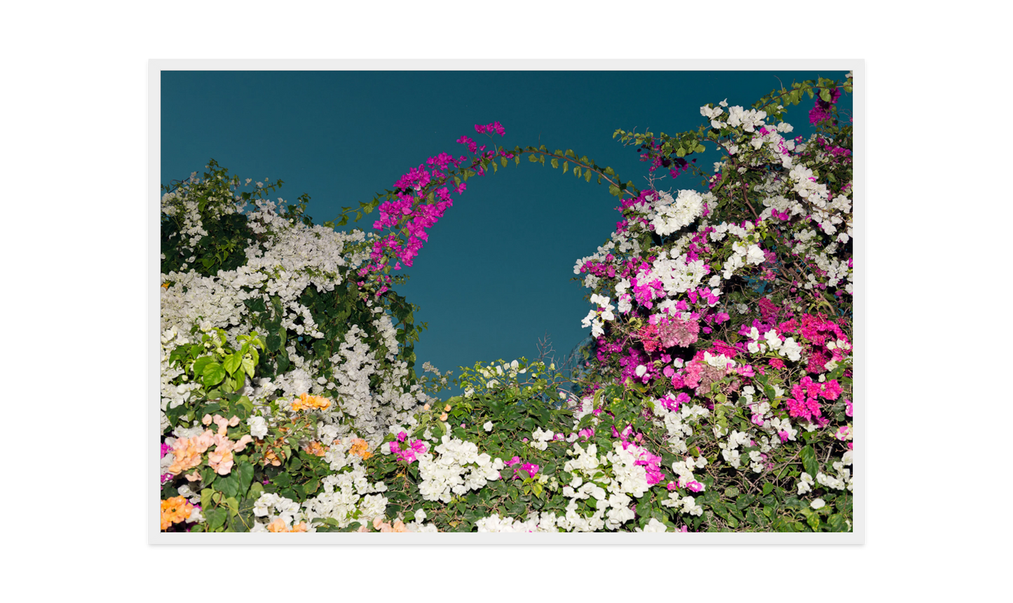 Image rendered by ArtFlows