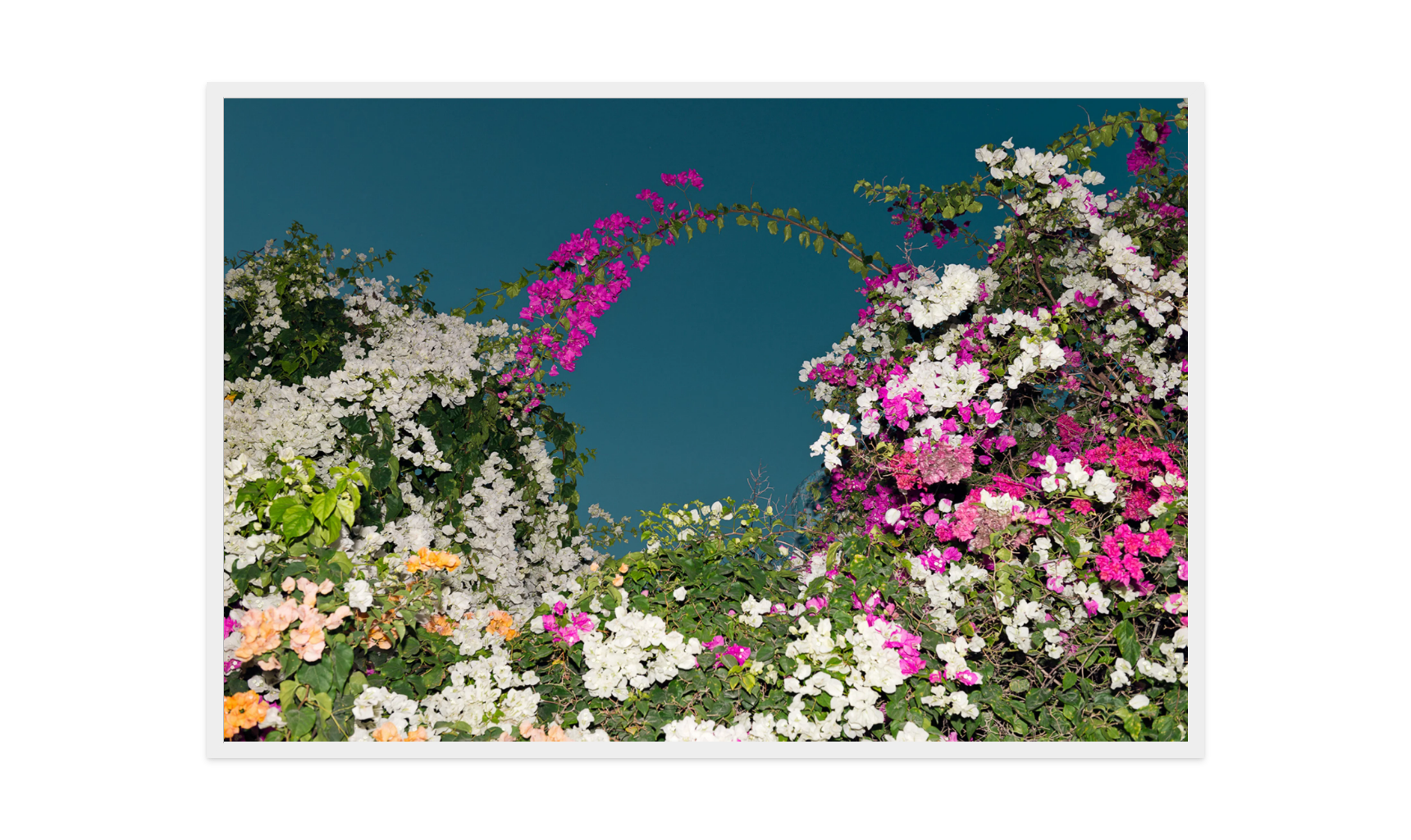 Image rendered by ArtFlows