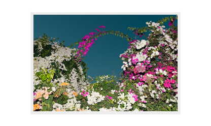 Image rendered by ArtFlows