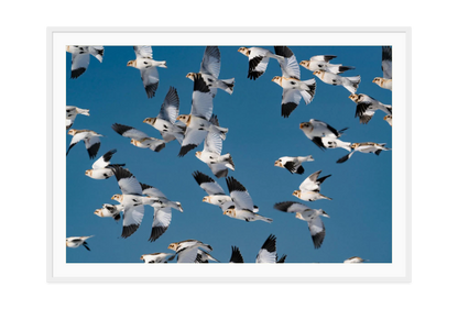 Image rendered by ArtFlows