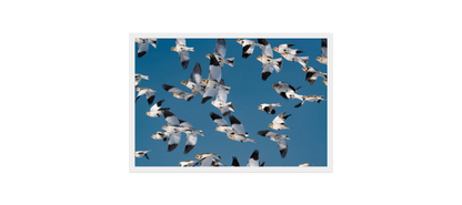 Image rendered by ArtFlows