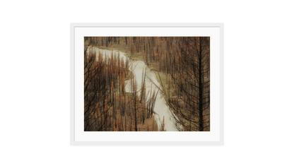 Image rendered by ArtFlows