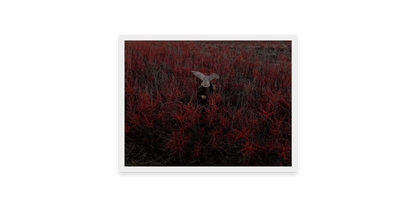 Image rendered by ArtFlows