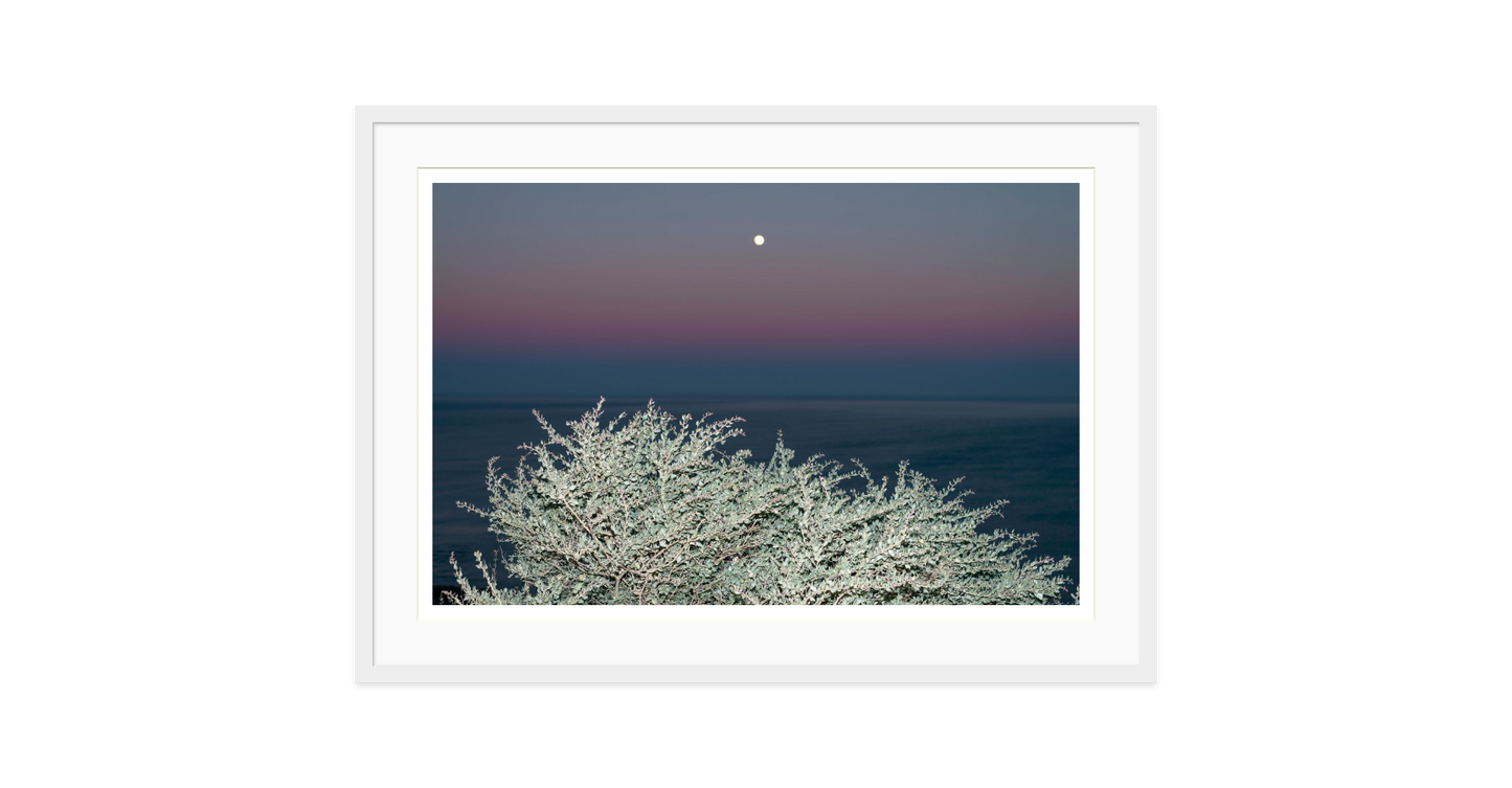 Image rendered by ArtFlows