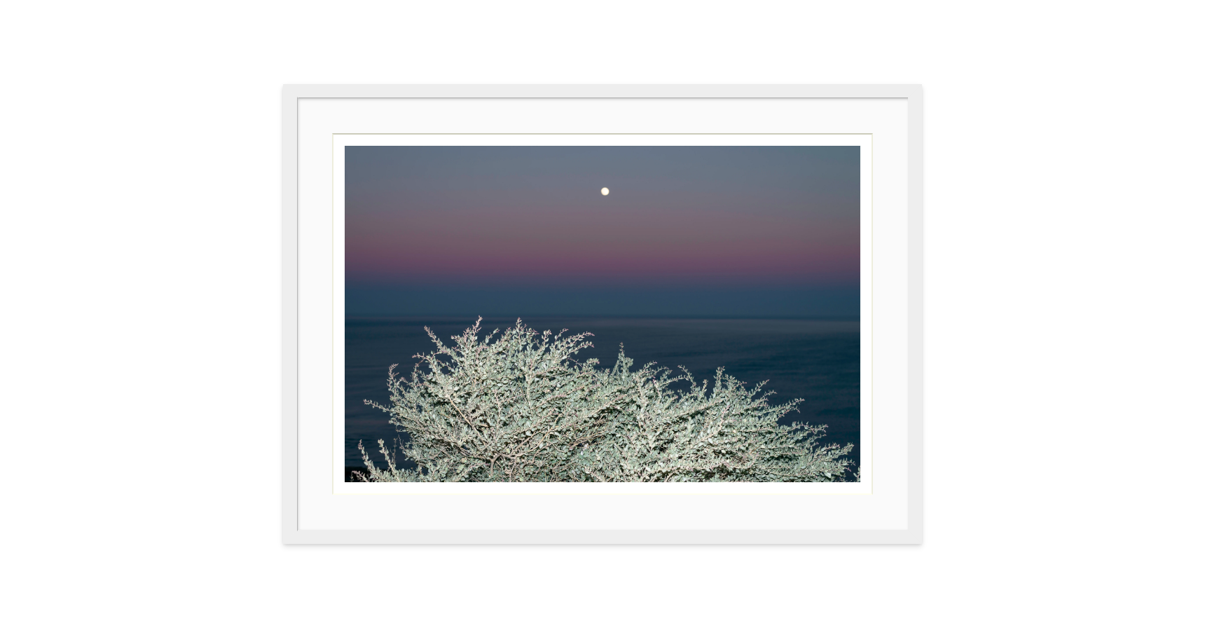 Image rendered by ArtFlows