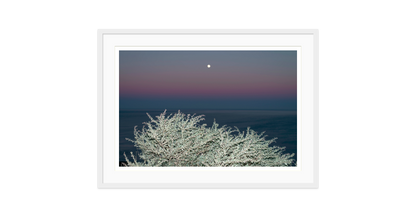 Image rendered by ArtFlows