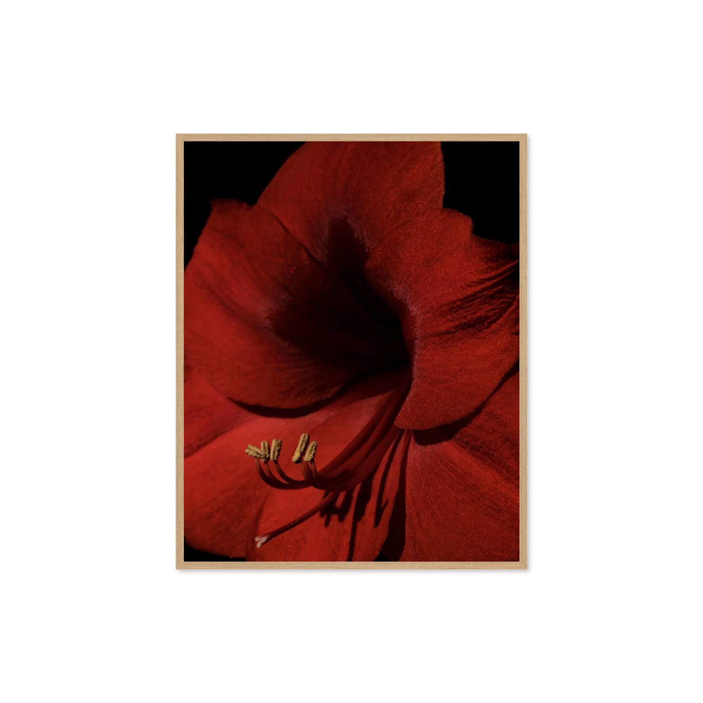 Image rendered by ArtFlows