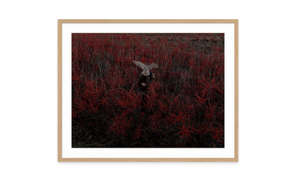 Image rendered by ArtFlows