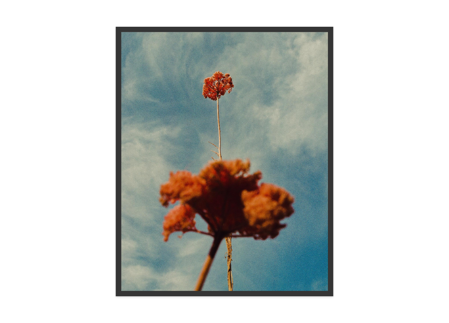 Image rendered by ArtFlows