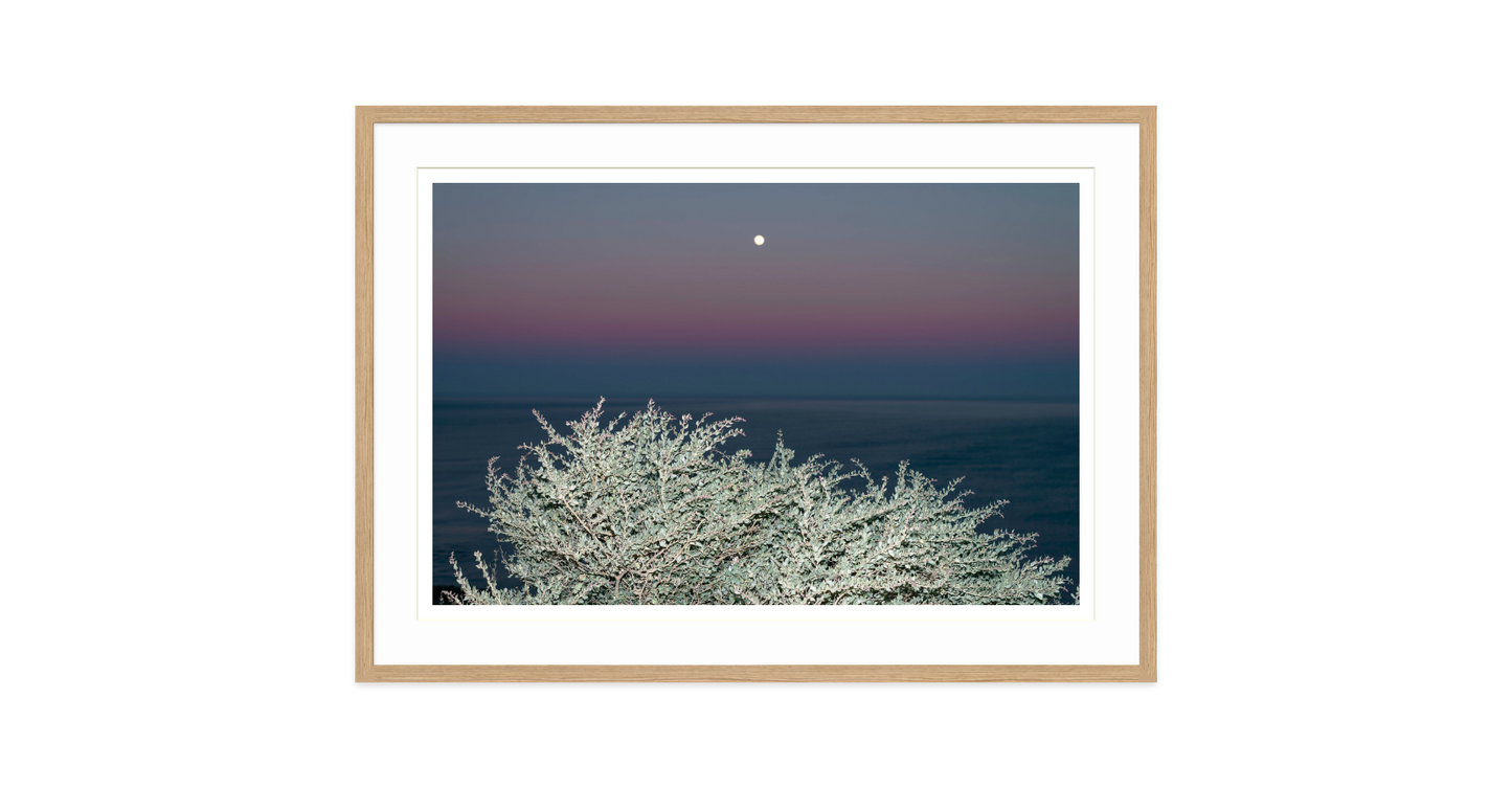 Image rendered by ArtFlows