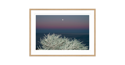 Image rendered by ArtFlows