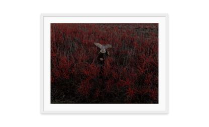 Image rendered by ArtFlows