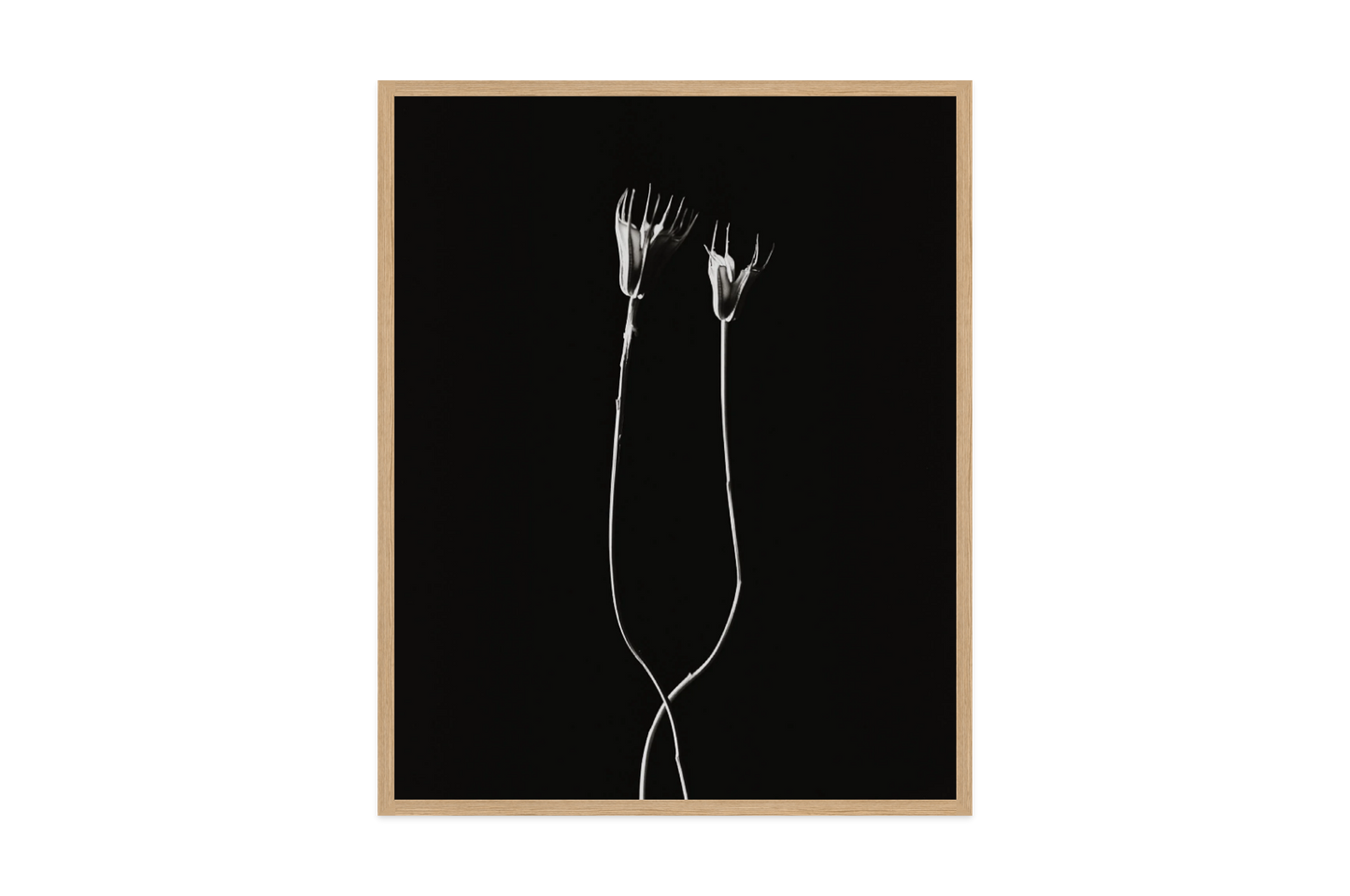 Image rendered by ArtFlows
