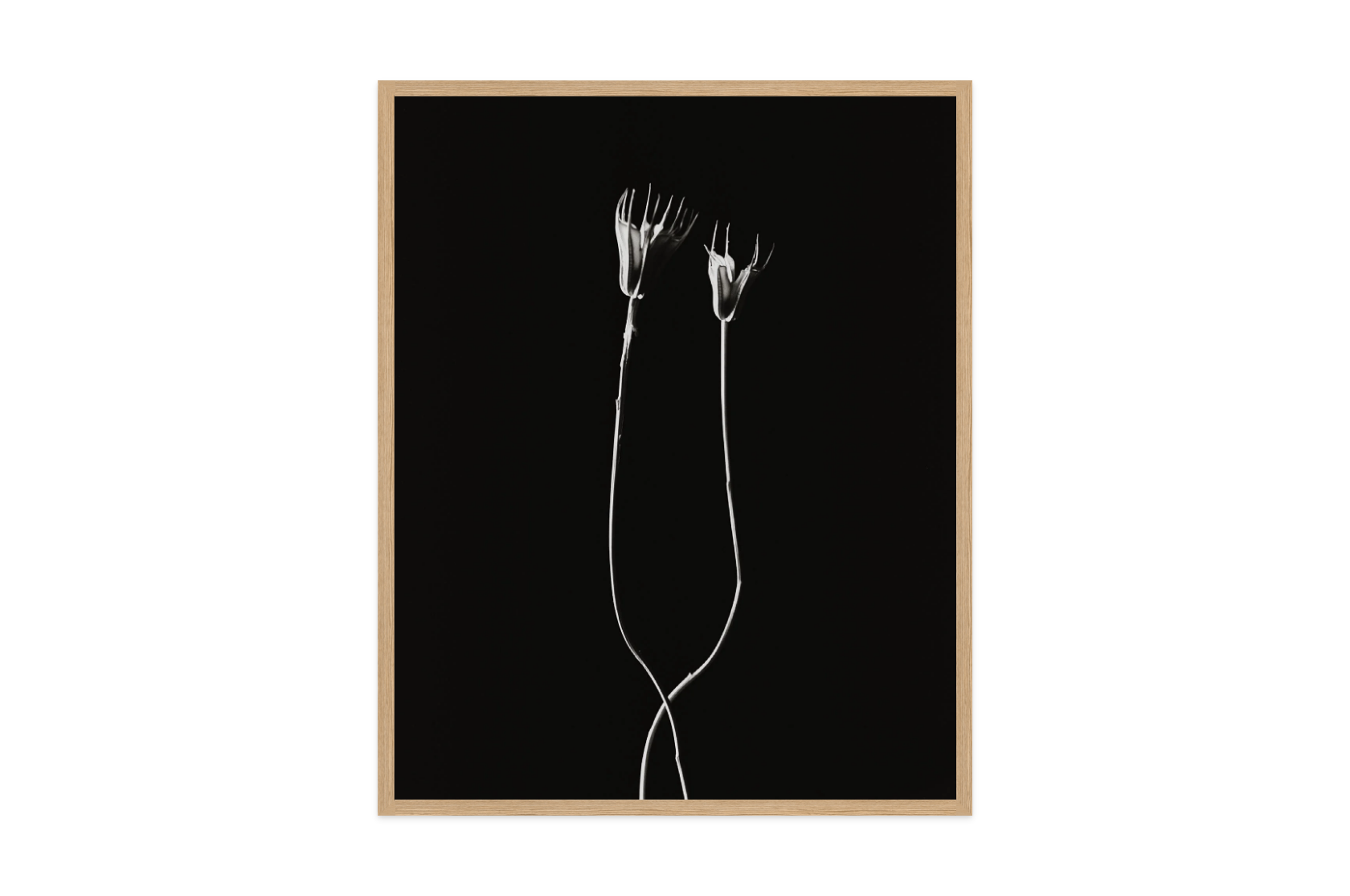 Image rendered by ArtFlows